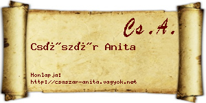 Császár Anita névjegykártya